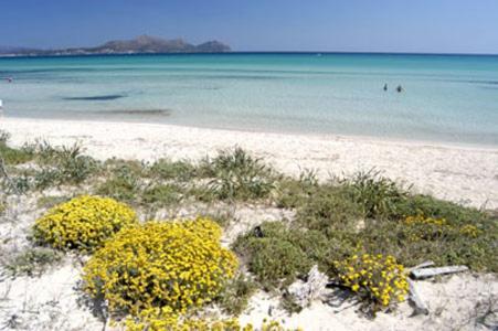 Apartment Alcudia Ocean View Bagian luar foto